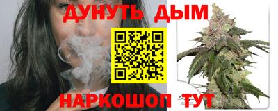молекула духа Будённовск