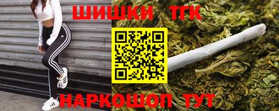 молекула духа Будённовск