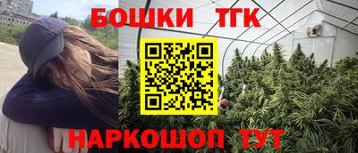молекула духа Будённовск