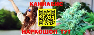 молекула духа Будённовск