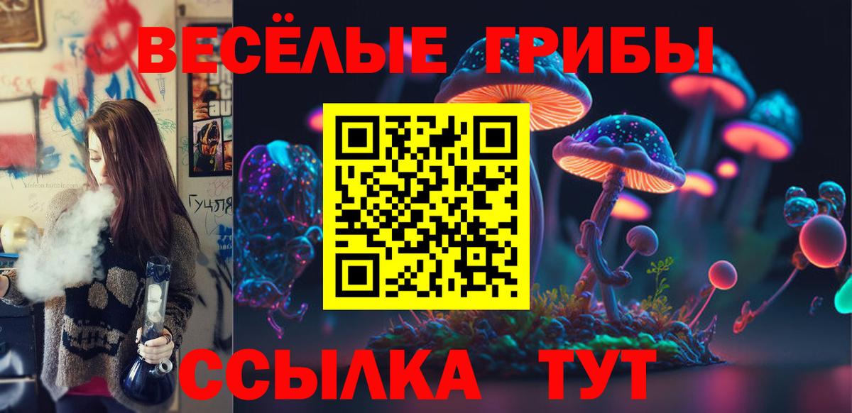 Ртищево  Псилоцибиновые грибы ЛСД  Вход с VPN 
