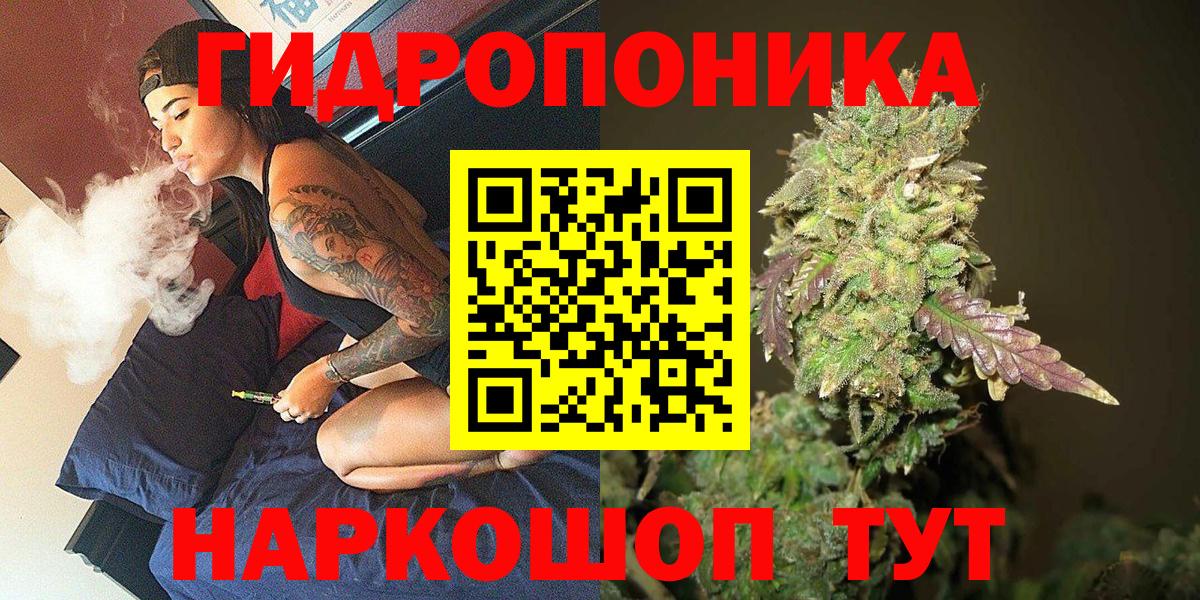 Конопля гибрид Ртищево